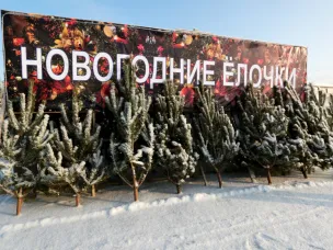 Определено место для торговли елями и (или)деревьями других хвойных пород для новогодних праздников.