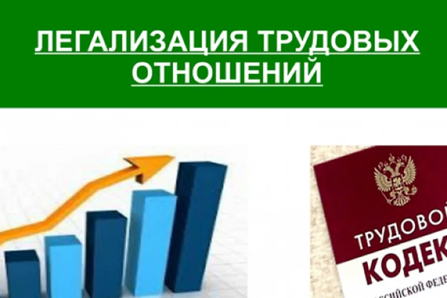Легальная трудовая занятость является основой социальной защищенности граждан.
