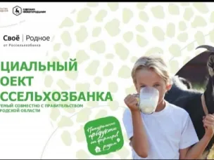 "Своё Родное": Поддержка нижегородских производителей и доступ к качественным товарам для потребителей.