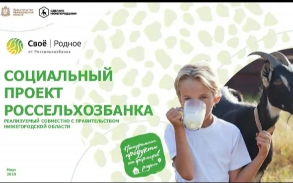 "Своё Родное": Поддержка нижегородских производителей и доступ к качественным товарам для потребителей.