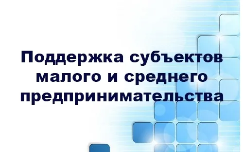 Финансовая поддержка малого и среднего бизнеса в Нижегородской области