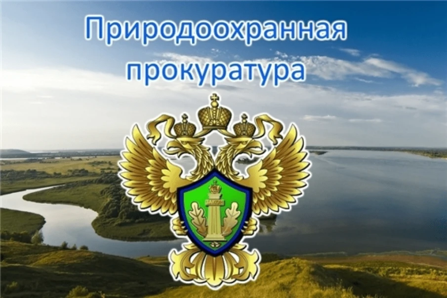 Нижегородская межрайонная природоохранная прокуратура информирует