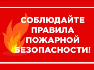 Отдел надзорной деятельности и профилактической работы по городским округам город Кулебаки и Навашинский управления надзорной деятельности и профилактической работы Главного управления МЧС России по Нижегородской области информирует!