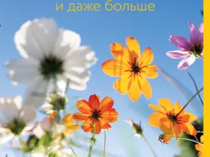27 ноября отмечается День самозанятых!