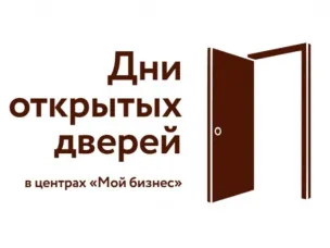 Cостоялся день открытых дверей для индивидуальных предпринимателей, самозанятых граждан и жителей городского округа
