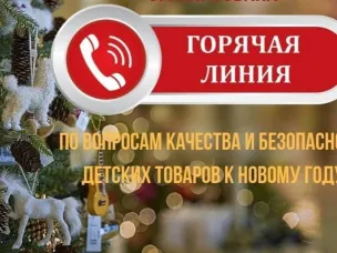 Роспотребнадзор запускает «горячую линию» по вопросам качества и безопасности детских товаров и выбору новогодних подарков.