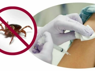 Вакцинация против вирусного клещевого энцефалита