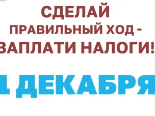 1 декабря 2023 года истекает срок уплаты имущественных налогов за 2022 год.