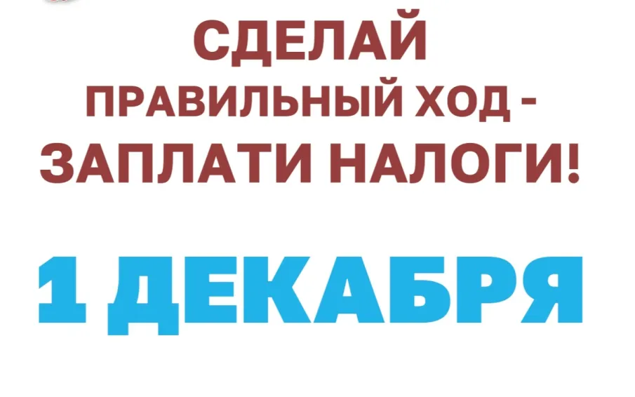 1 декабря 2023 года истекает срок уплаты имущественных налогов за 2022 год.