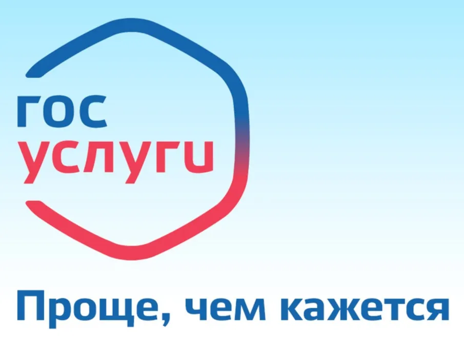 Услуги в  электронном  виде  через  Единый  портал государственных  и муниципальных  услуг