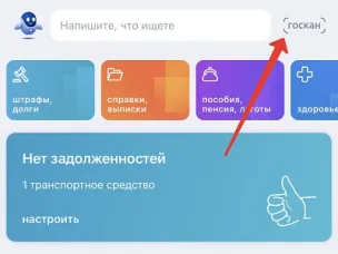 Инструкция использования Госкана в мобильном приложении "Госуслуги" для считывания QR-кодов