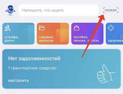 Инструкция использования Госкана в мобильном приложении "Госуслуги" для считывания QR-кодов