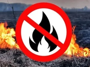На территории Нижегородской области введен ОСОБЫЙ ПРОТИВОПОЖАРНЫЙ РЕЖИМ!!