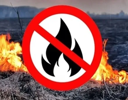 На территории Нижегородской области введен ОСОБЫЙ ПРОТИВОПОЖАРНЫЙ РЕЖИМ!!