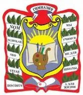 Муниципальное бюджетное общеобразовательное учреждение «Гимназия г.Навашино»